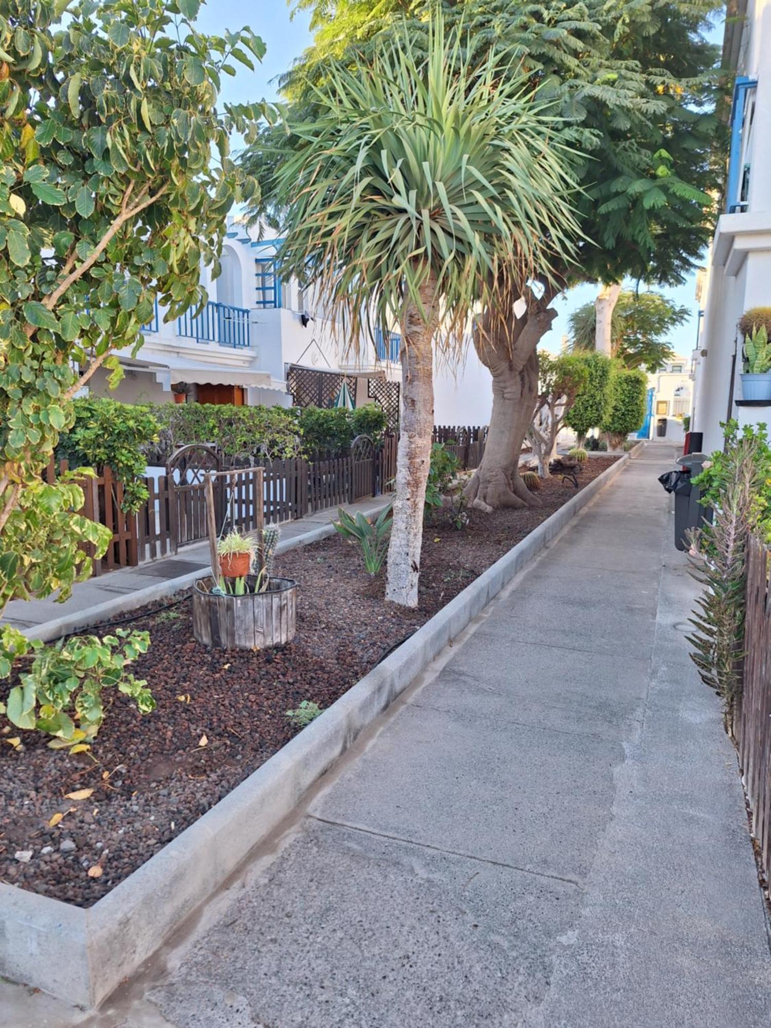 Poolfront Bungalow Playa del Inglés Exterior foto